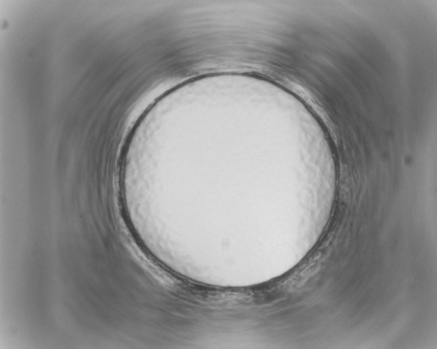 X0000058131187200510212038