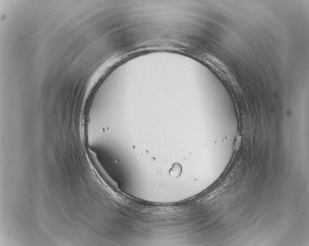 X0000058131188200510212038