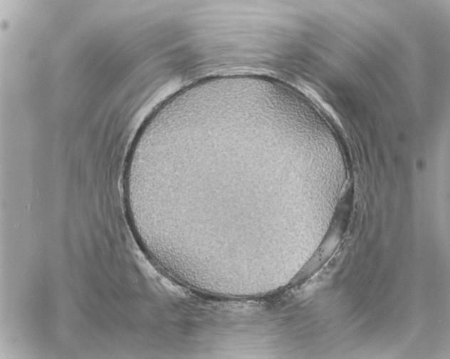 X0000058131189200510212038