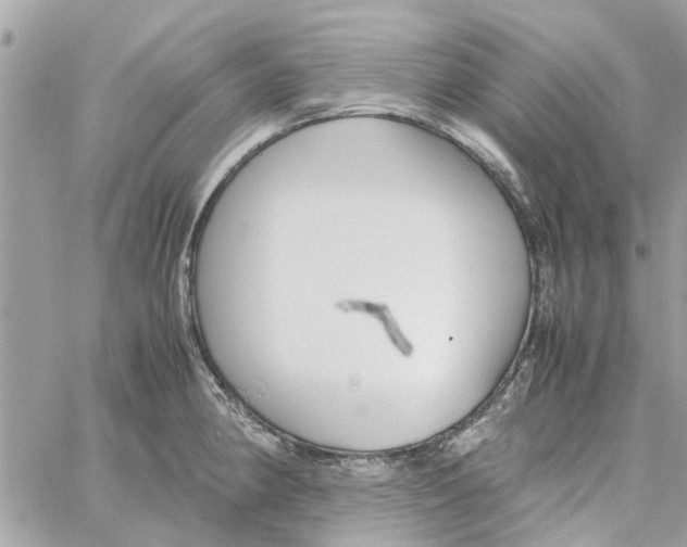 X0000058131190200510212038