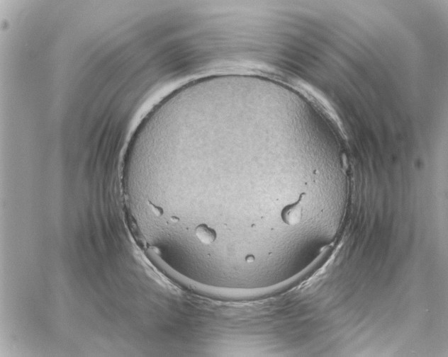 X0000058131192200510212038