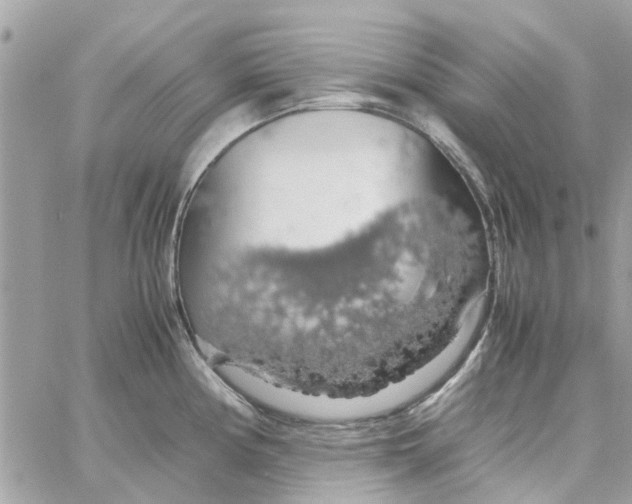 X0000058131194200510212038