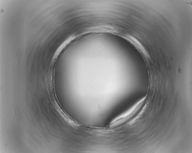 X0000058131196200510212038