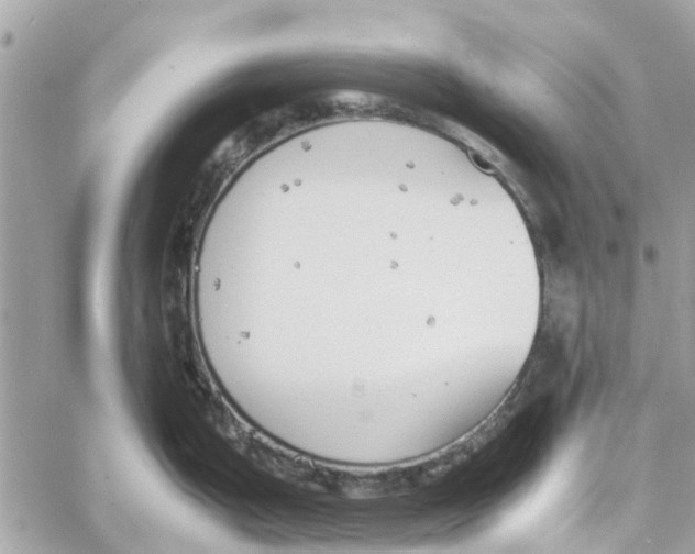 X0000058131199200510212038