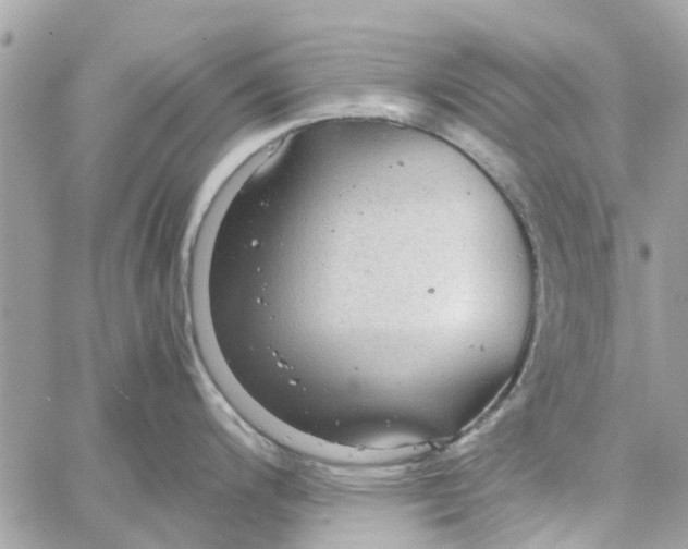 X0000058131200200510212038