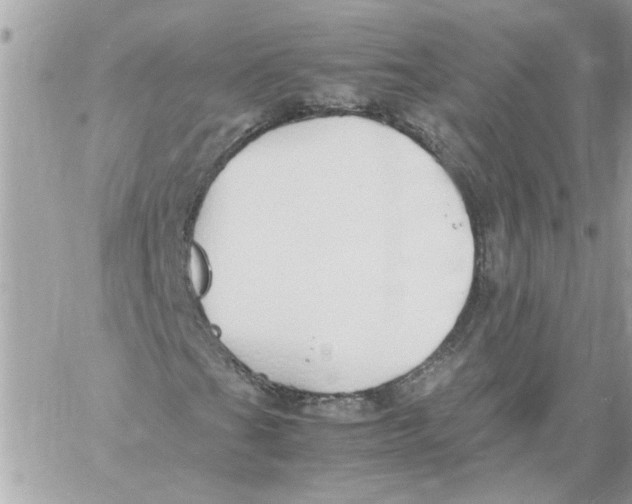 X0000058131201200510212037