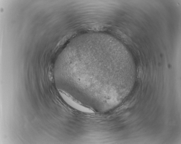 X0000058131202200510212037