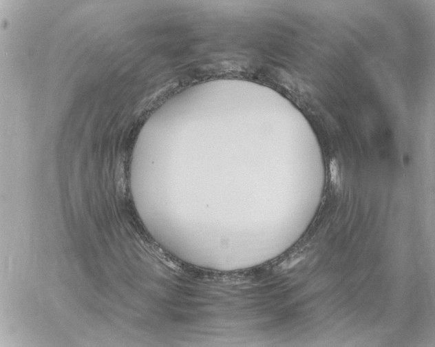 X0000058131203200510212037