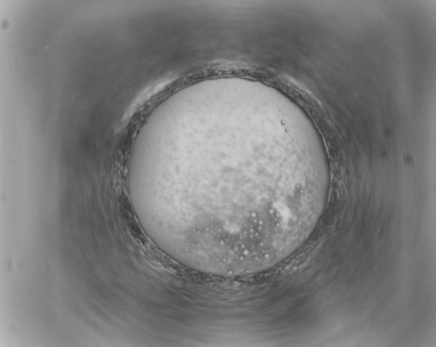 X0000058131207200510212037