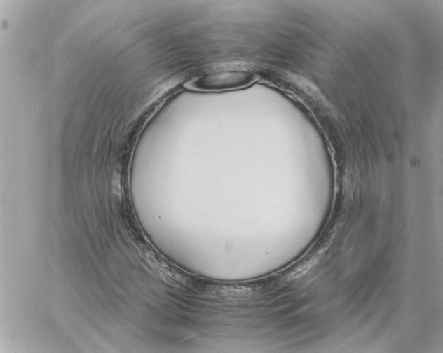 X0000058131209200510212037