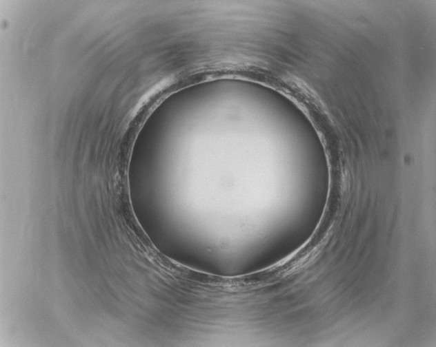 X0000058131210200510212037