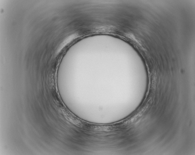 X0000058131211200510212037