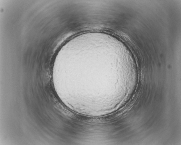 X0000058131212200510212037