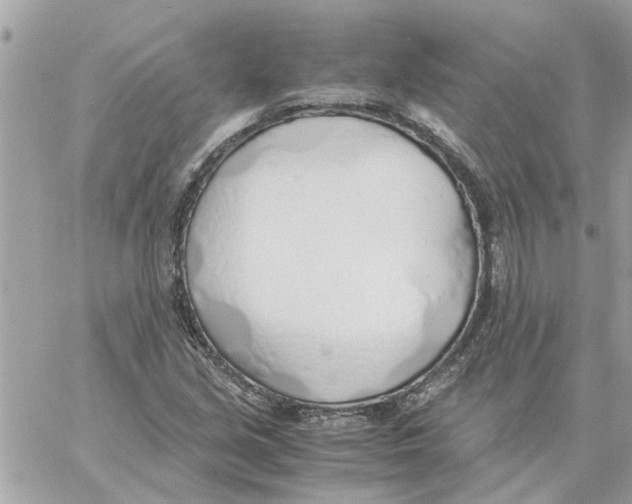 X0000058131213200510212037