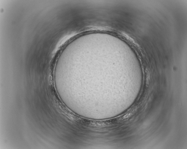 X0000058131215200510212037