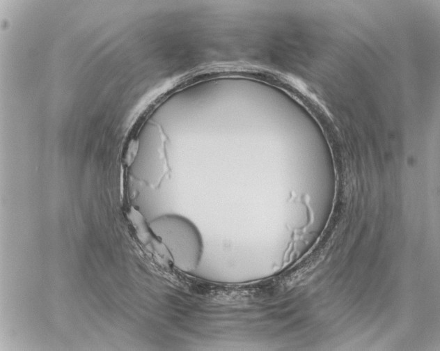 X0000058131221200510212037