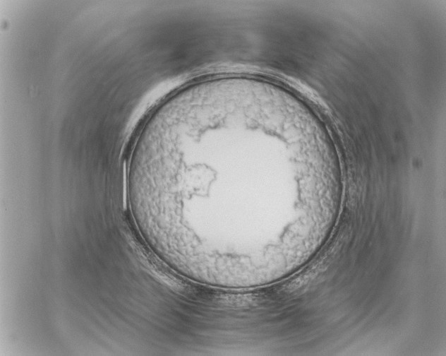 X0000058131223200510212037