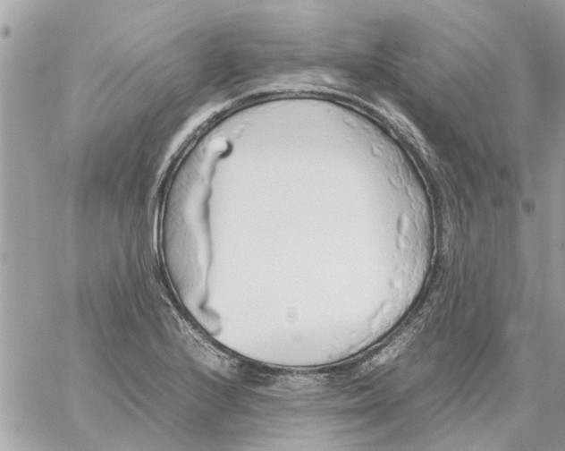 X0000058131224200510212037