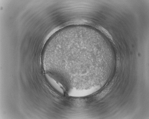 X0000058131226200510212037