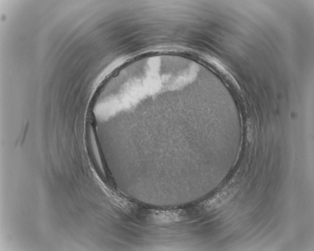 X0000058131229200510212037