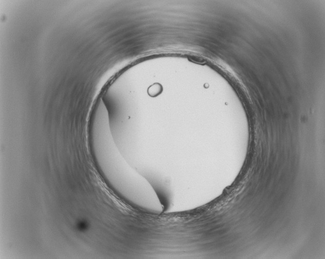 X0000058131230200510212037