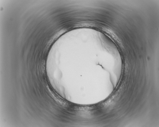 X0000058131233200510212037