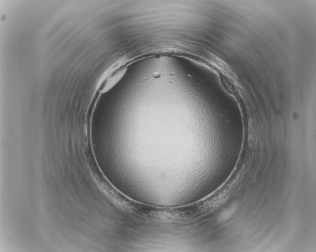 X0000058131234200510212037