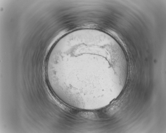 X0000058131235200510212037