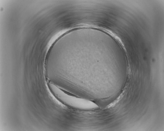 X0000058131239200510212037