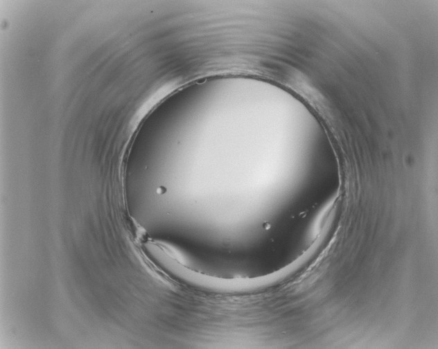 X0000058131242200510212038