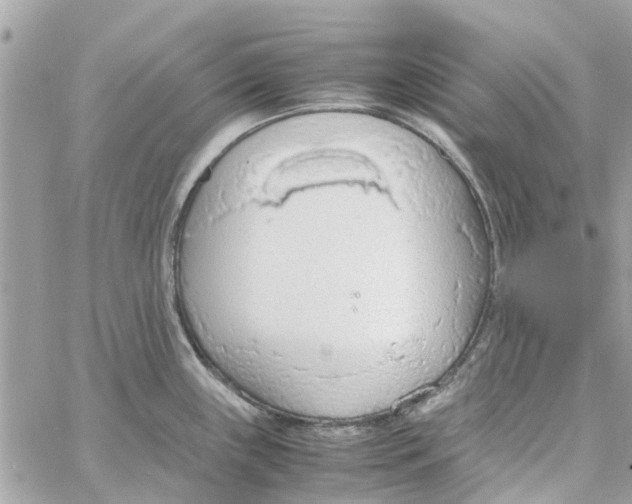 X0000058131243200510212038