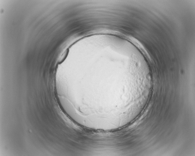 X0000058131244200510212038