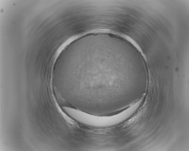 X0000058131245200510212038