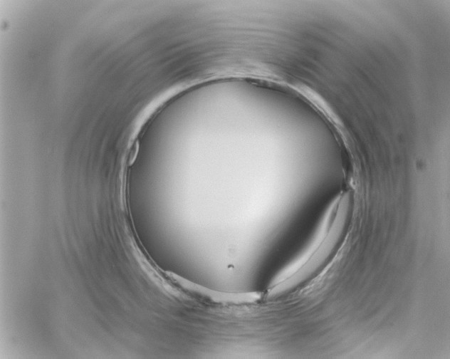 X0000058131246200510212038