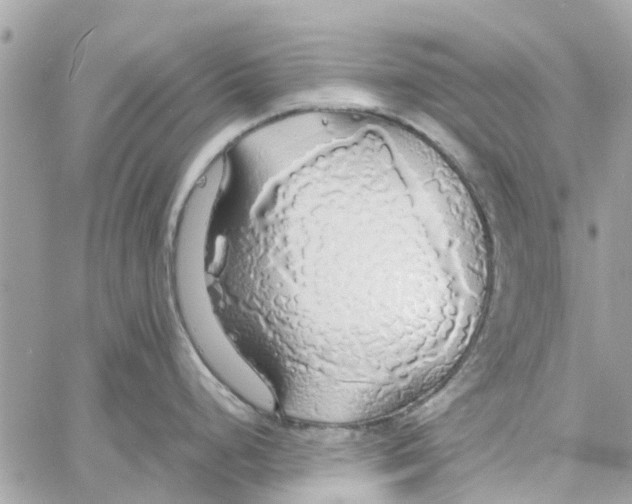 X0000058131248200510212038