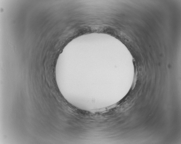 X0000058131249200510212037