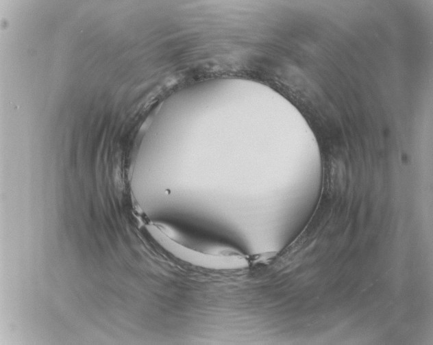 X0000058131250200510212037