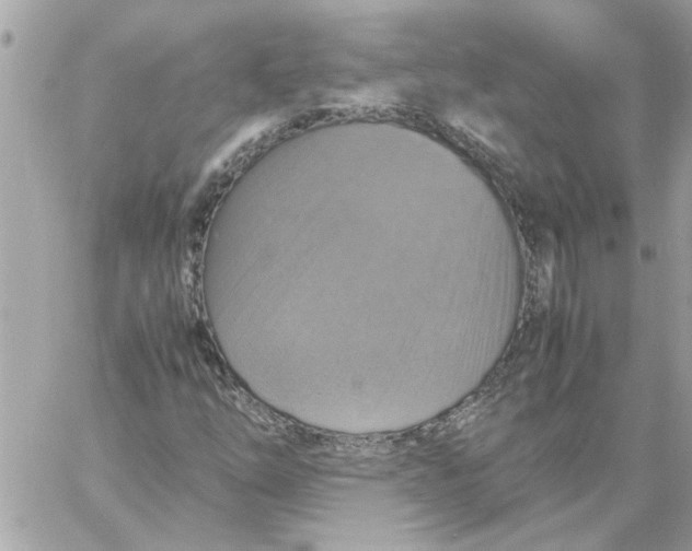 X0000058131254200510212037