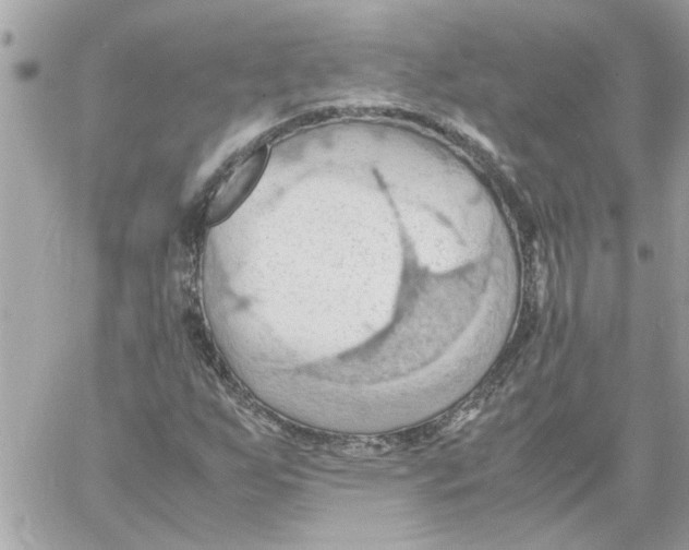 X0000058131255200510212037