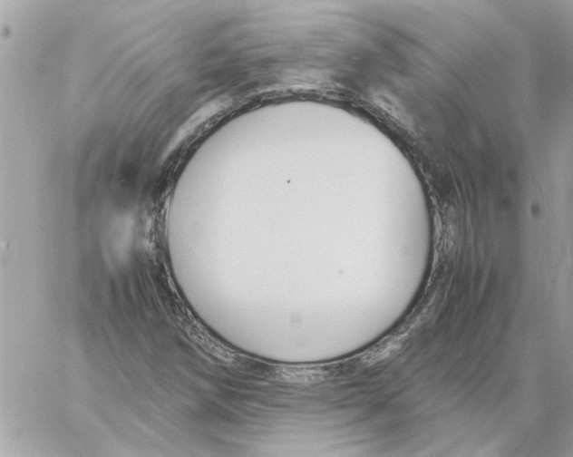 X0000058131258200510212037