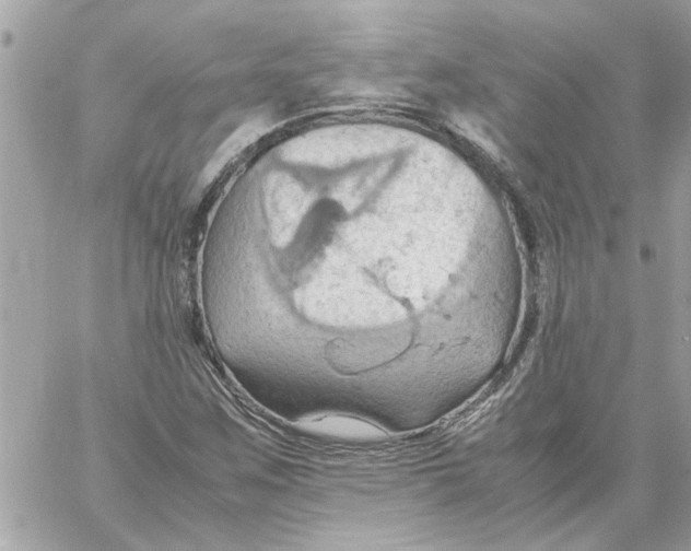 X0000058131259200510212037