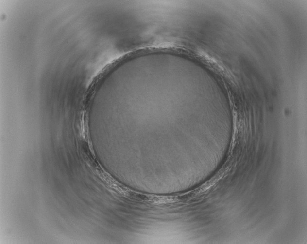 X0000058131262200510212037