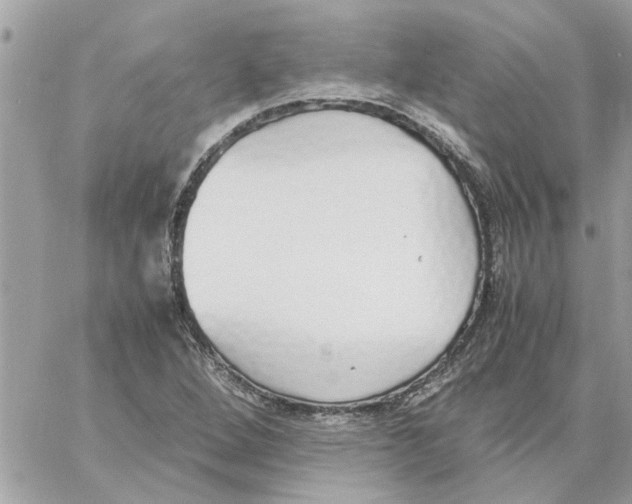 X0000058131264200510212037