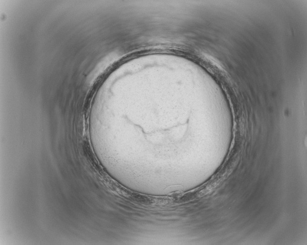 X0000058131267200510212037