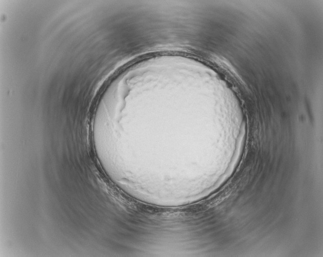 X0000058131268200510212037