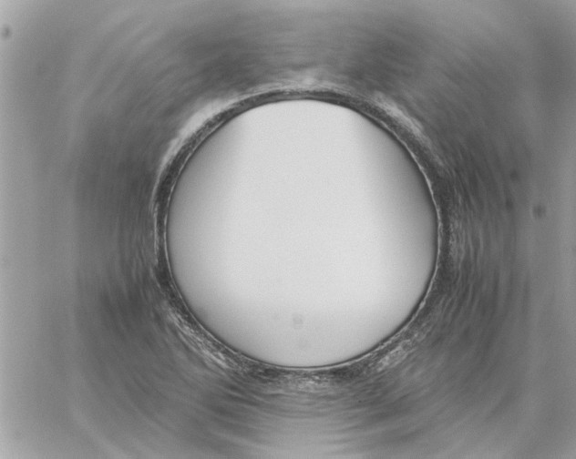 X0000058131270200510212036