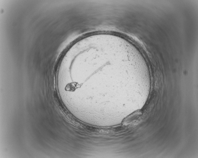 X0000058131271200510212036