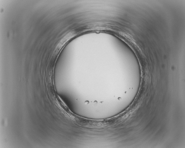 X0000058131273200510212036