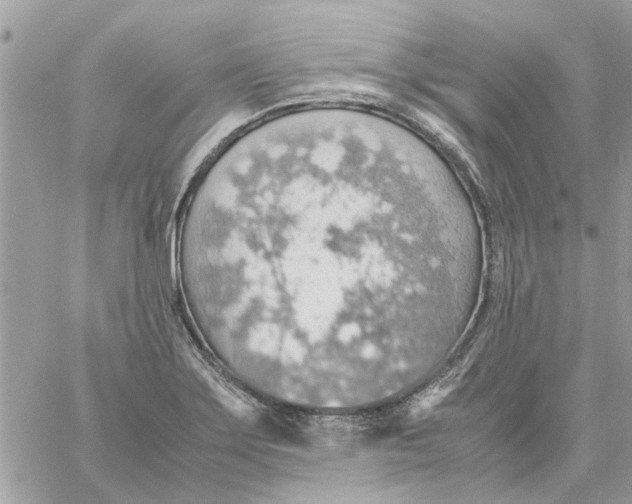 X0000058131275200510212036