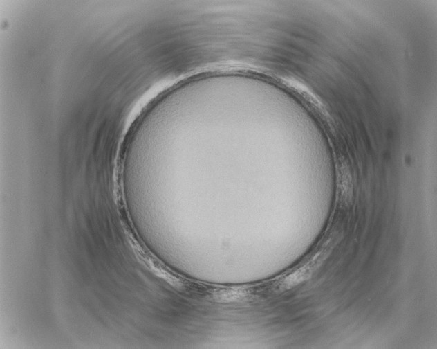 X0000058131278200510212036